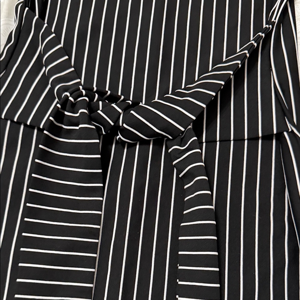 Elegant Black and White Striped Long Sleeve Dress - Picture 3 of 3
